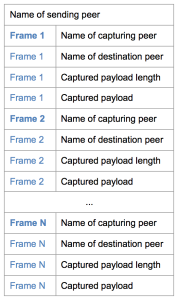 Weave Net Encapsulation